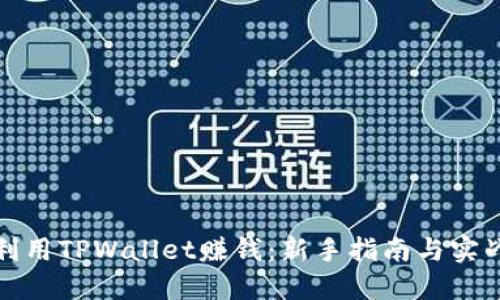 如何利用TPWallet赚钱：新手指南与实战攻略