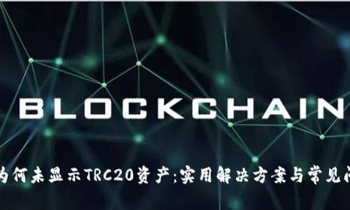 TP钱包为何未显示TRC20资产：实用解决方案与常见问题解析