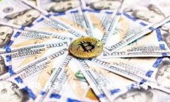 终极攻略：如何选择最适