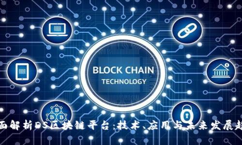 全面解析DS区块链平台：技术、应用与未来发展趋势